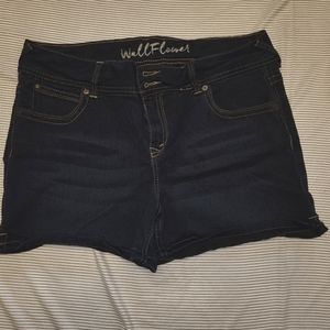 Walflower shorts size 17